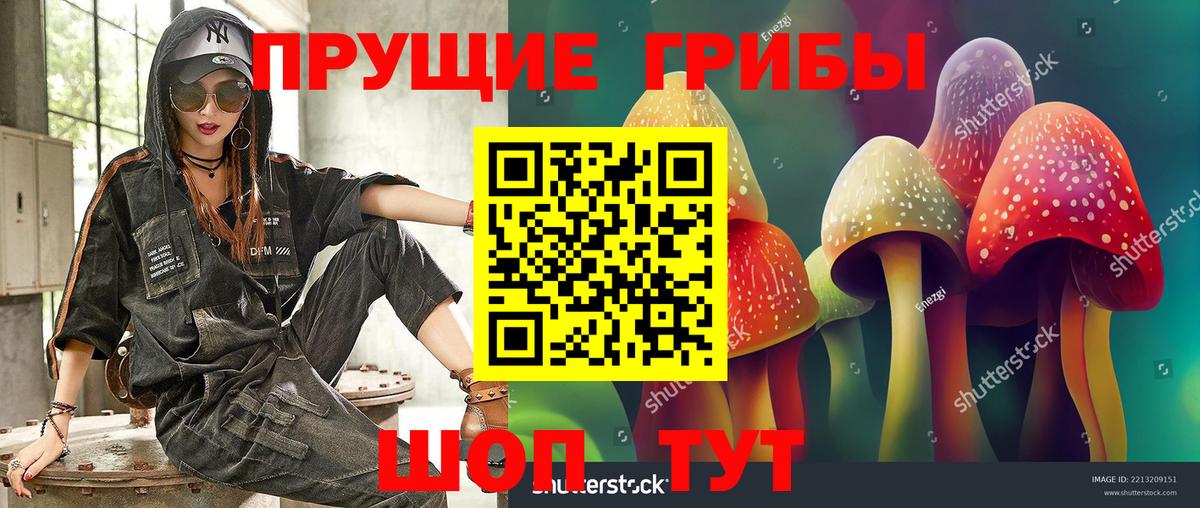 купить наркоту  Галлюциногенные грибы GOLDEN TEACHER  Вход с VPN  Октябрьский 